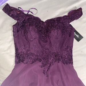 Cinderella Divine Rich Purple Gown
